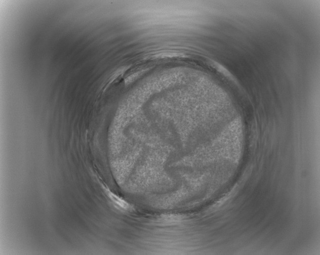 X0000065980777200603311904