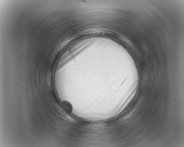 X0000065980778200603311904