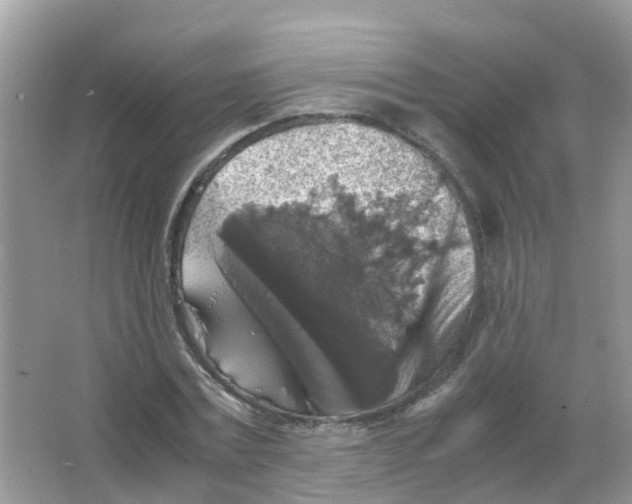 X0000065980779200603311904