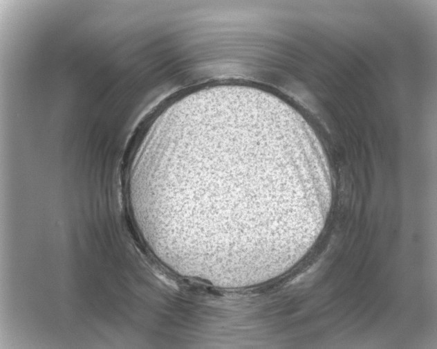 X0000065980782200603311903