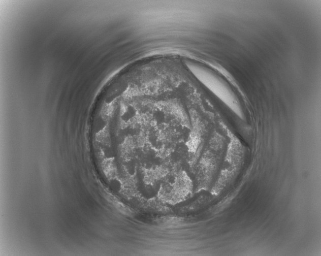 X0000065980783200603311903