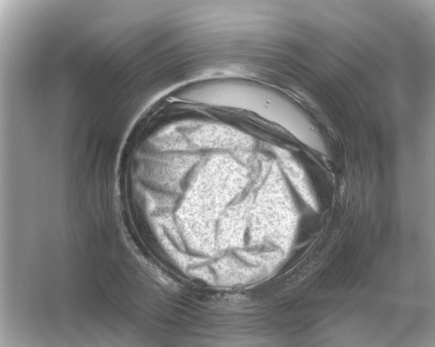 X0000065980784200603311903