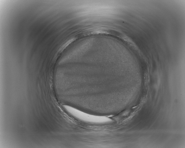 X0000065980785200603311903