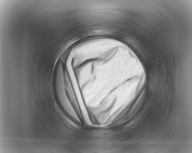 X0000065980786200603311903