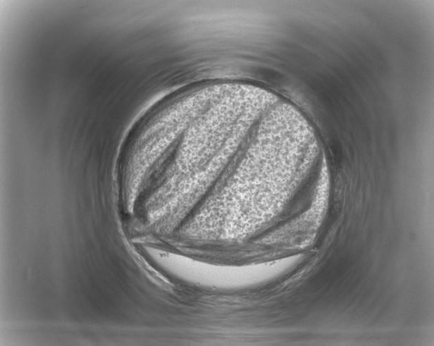 X0000065980787200603311903