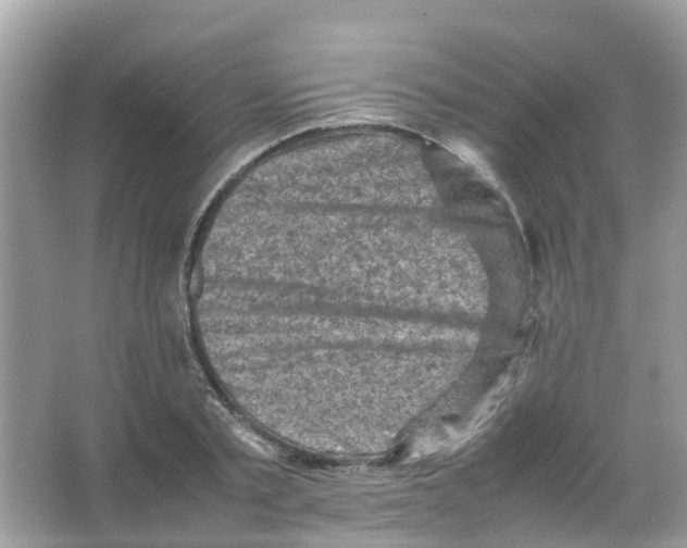 X0000065980789200603311903