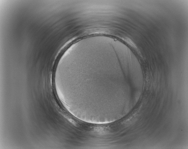 X0000065980790200603311903