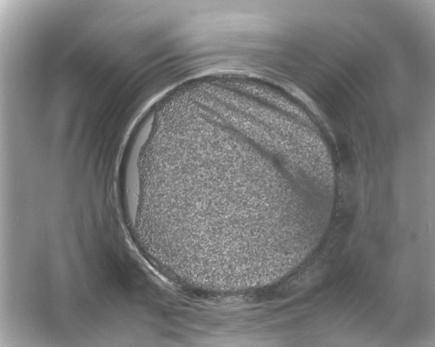 X0000065980791200603311903