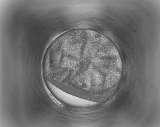 X0000065980795200603311903