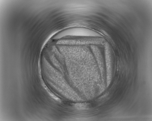 X0000065980796200603311903