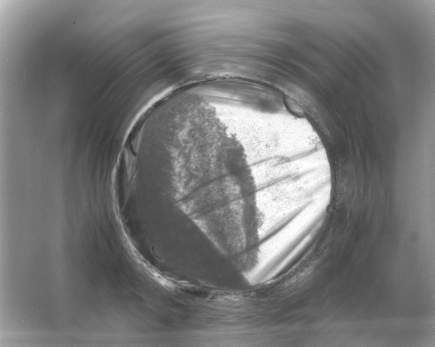 X0000065980798200603311903