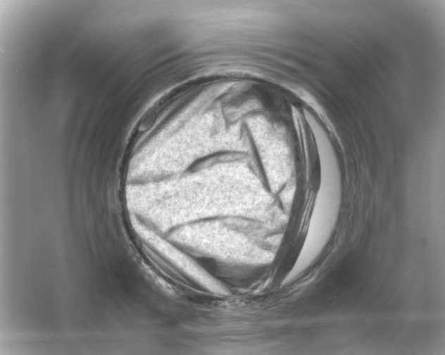 X0000065980799200603311903