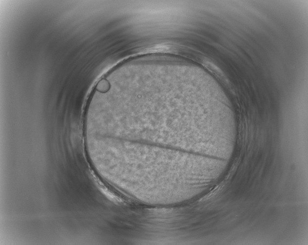 X0000065980800200603311903