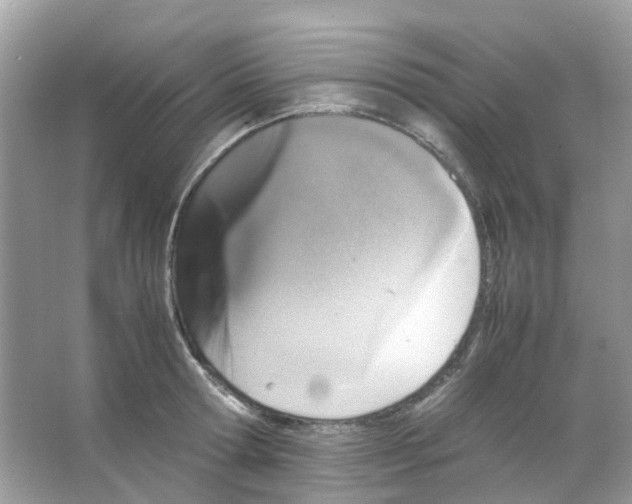 X0000065980802200603311903