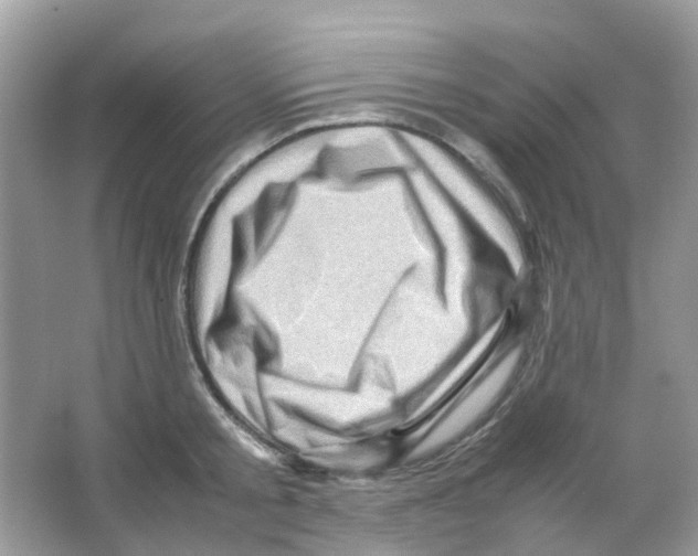 X0000065980805200603311903