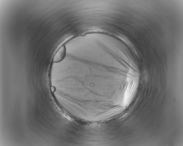 X0000065980806200603311903