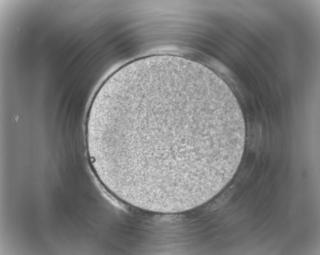 X0000065980808200603311903