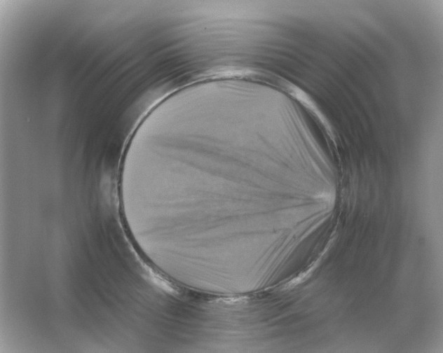 X0000065980810200603311903