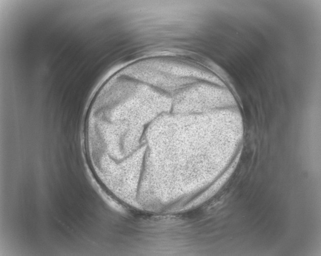 X0000065980811200603311903