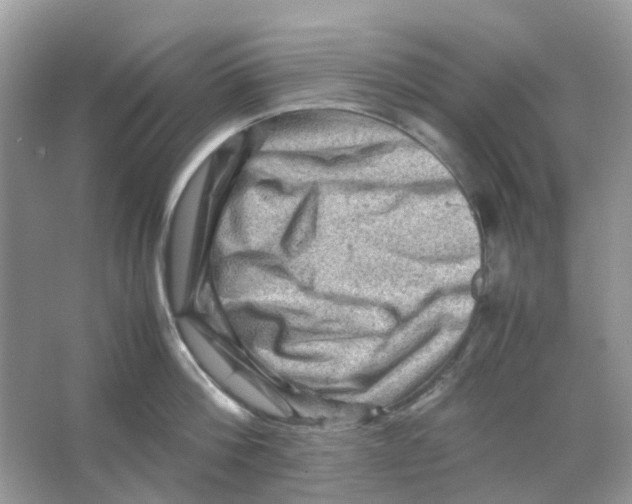 X0000065980812200603311903