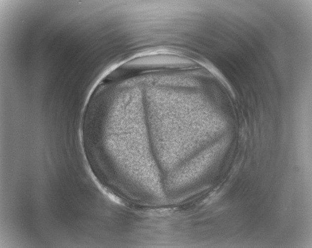 X0000065980813200603311903