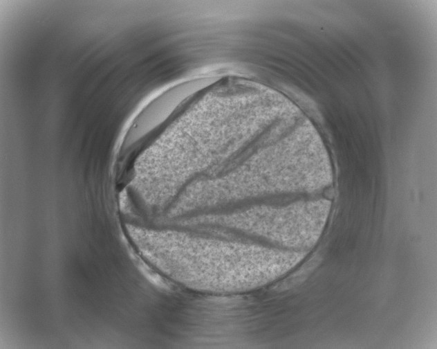 X0000065980816200603311903