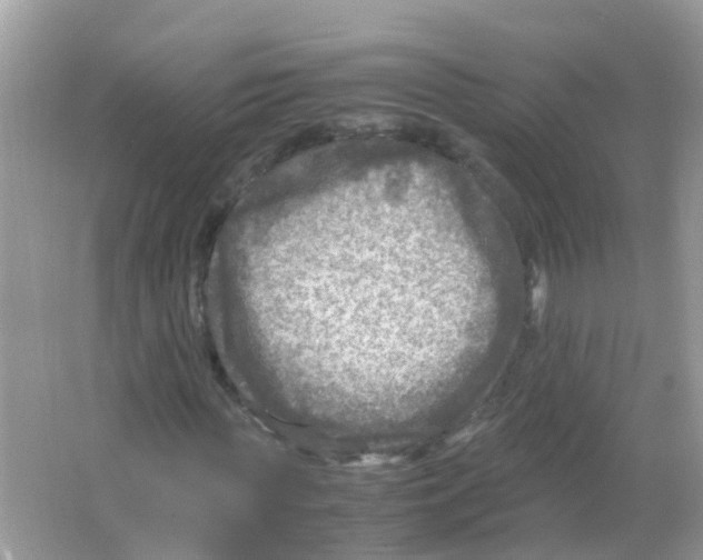 X0000065980819200603311902