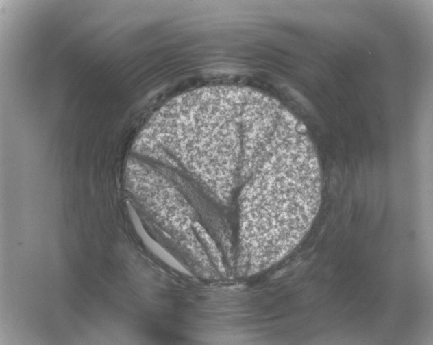 X0000065980821200603311902