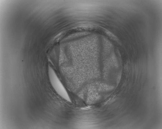 X0000065980822200603311902