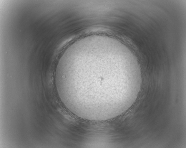 X0000065980824200603311902