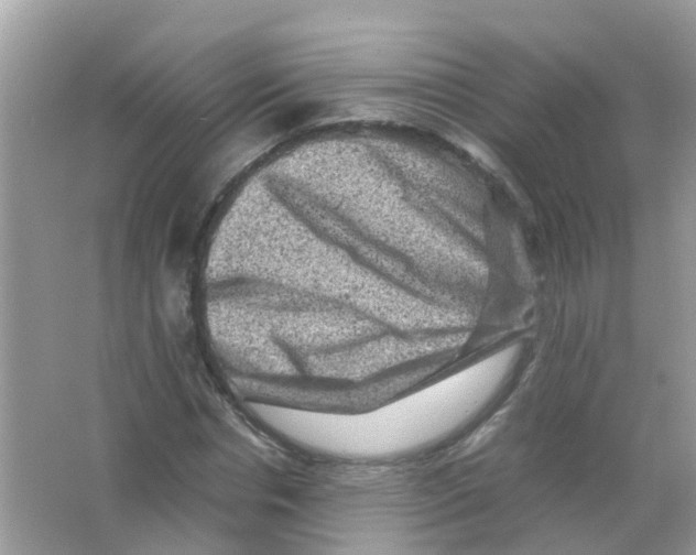 X0000065980826200603311902