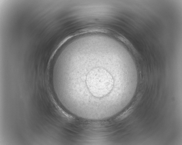 X0000065980828200603311902