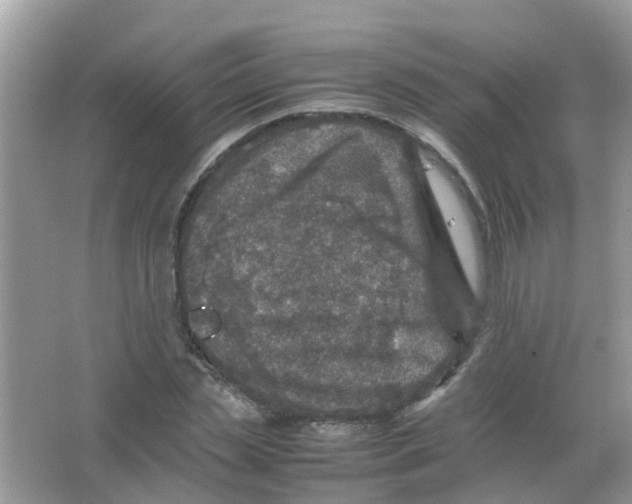 X0000065980829200603311902