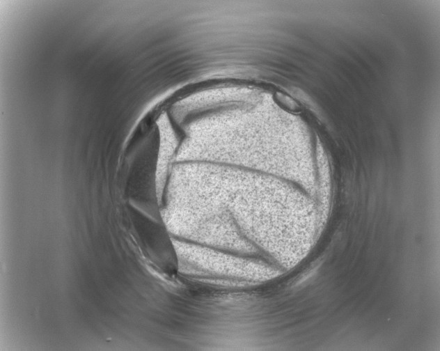 X0000065980830200603311902