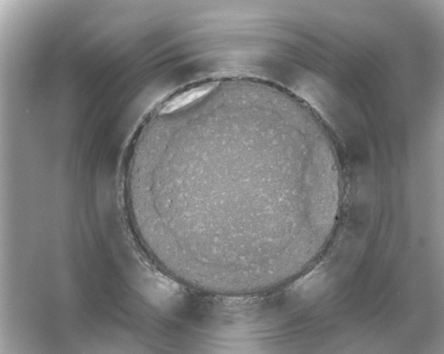 X0000065980832200603311902