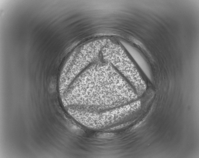 X0000065980833200603311902