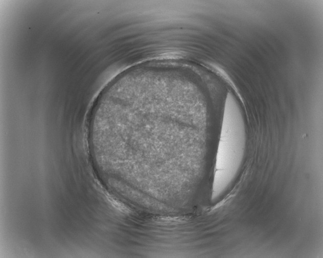 X0000065980835200603311902