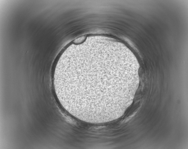 X0000065980837200603311902