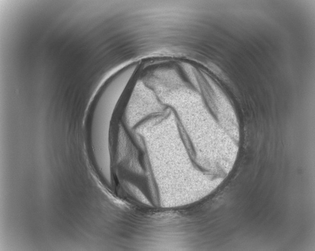 X0000065980838200603311902