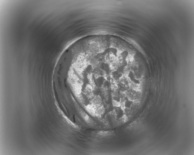 X0000065980839200603311902