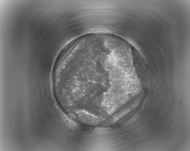 X0000065980840200603311902