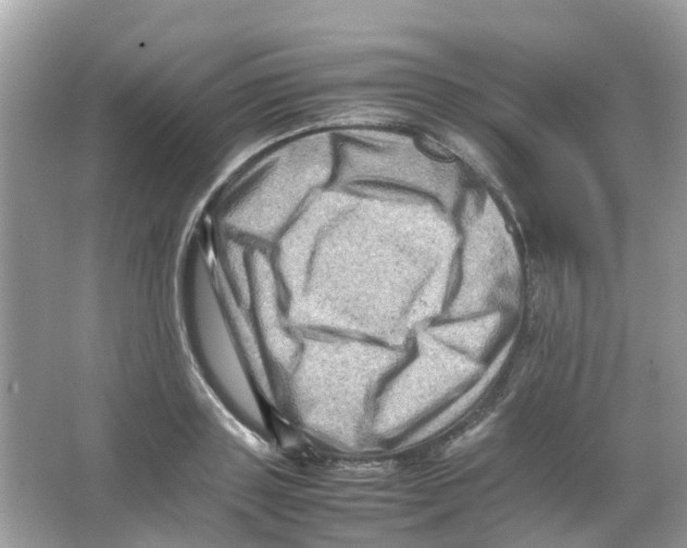 X0000065980843200603311902