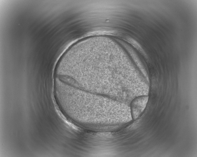 X0000065980844200603311903