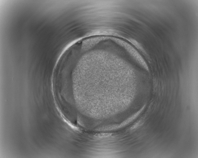 X0000065980846200603311903