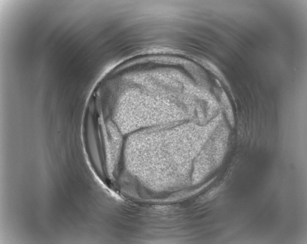 X0000065980847200603311903