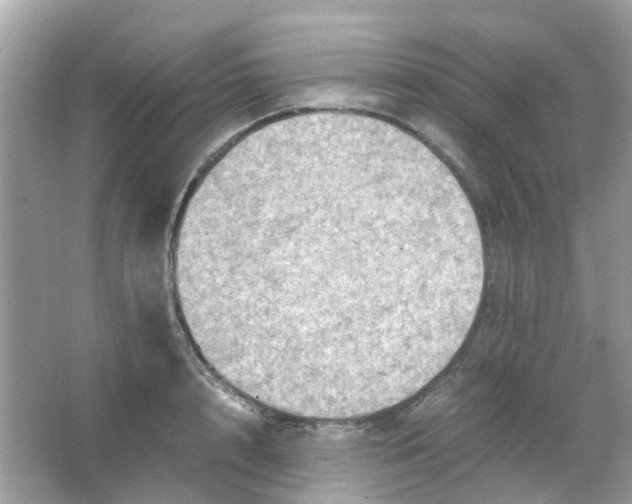 X0000065980848200603311903