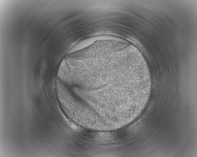 X0000065980849200603311903