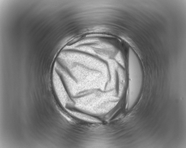 X0000065980850200603311903