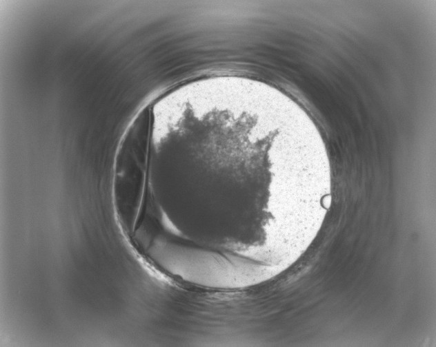 X0000065980853200603311903