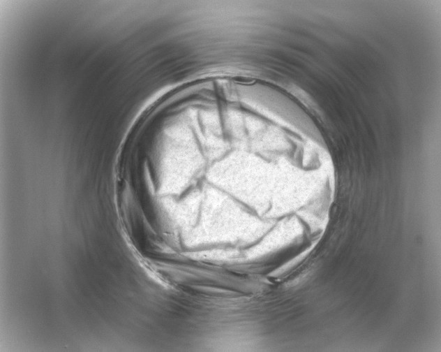 X0000065980854200603311903